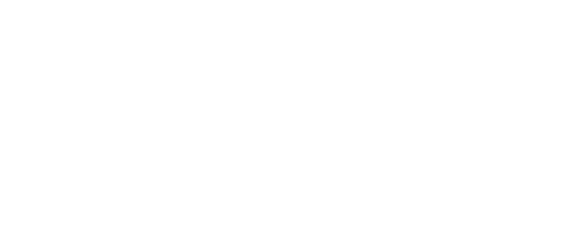 Network Optix Nx Witness logo